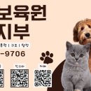 동물보육원 부천지부 네이버블로그
