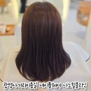 행운미용실 | 광명사거리미용실 네이플헤어 예신 머릿결 살린 나노힐클리닉 솔직후기