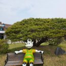 당진 볼거리 당진 농업테마파크 농심테마파크 풍차전망대 후기