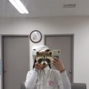[놀이공원알바] 이월드 미니멜츠 구슬아이스크림 판매알바후기