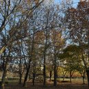 쌍암동산 이미지