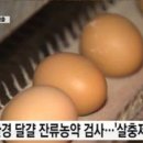 부자축산계란집 이미지