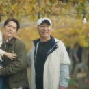 보물섬 티스토리