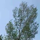 자몽공인중개사사무소 이미지