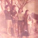 판교로50번길 네이버블로그