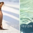 통구미 물양장 이미지