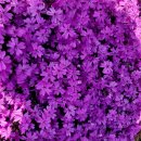 김원삼행정사사무실 이미지