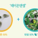 다우니웰빙