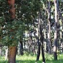 울산종합관광안내소 이미지