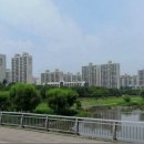 분당-141 이미지