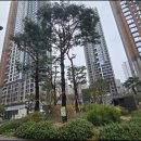 아이파크동물약국 | 이문동부동산 대단지 라이프, 커뮤니티 완전 분석 후기