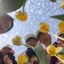 조금초등학교 이미지