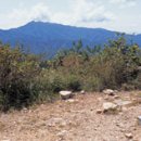 호도보건진료소 이미지