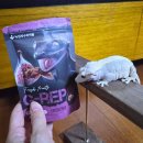 지랩 | 크레스티드 게코 크레 먹이 슈퍼푸드 지랩 무화과 추천