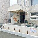 디어터틀(dear turtle) 이미지