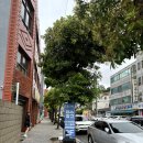 여수 빈티지샵ㅣ여수창고ㅣ빈티지옷 득템후기