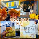 2026 1월 19월~22목 /제주 숲으로간 미술관&amp; 훈데르트바서 /한라산 눈꽃 &amp;오름 이미지