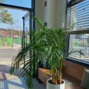 부성1동 행정복지센터(1층) 이미지