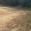 장현2리 이미지