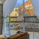 오롯이 제주 스테이 이미지