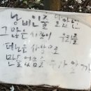 보리밭수제비 | 241015 - 241020 | [하동] 노는 걸 배운 적은 없지, 나