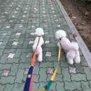 요술가위미용실 이미지