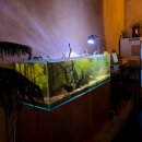 상남동280 | 창원 상남동 맛집 숙성 오리구이 맛집 '천미가든'