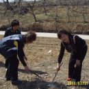 노곡리마을회관2 이미지