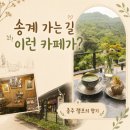 램프의향기 | 충주 송계 가는 길 카페 램프의 향기, 오래된 소품과 숲뷰
