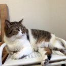 성내중학교 이미지