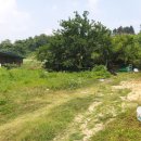 개군면사무소 이미지