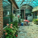 사철박경순 냉면 이미지