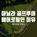 에어로필여행사 이미지