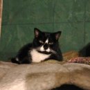 세중농장 이미지