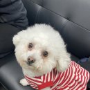 동서로13길 이미지