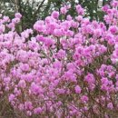 번성농장 이미지