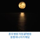 혼자 병원 걱정 끝! 병원동행 매니저가 해답