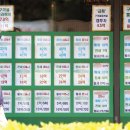유예라 중앙일보