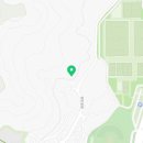 포레스트 하우스 애견유치원 이미지