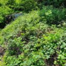 명곡동529 이미지