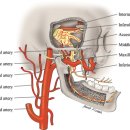 운동케어센터 이미지