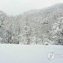 언별1리 이미지