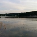 보통리 저수지 2 이미지