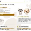 블레스동물메디컬센터 이미지