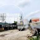자인 행정사 네이버블로그