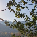 김원일농장 이미지