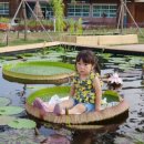 춘양우체국 이미지