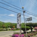 죽산식당 | [죽산 맛집]안성 맛집 쇠고개식당 후기! - 에덴블루CC근처맛집