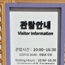 솔바람길 이미지