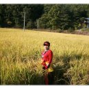 솔향기마을 이미지